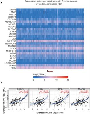 TRPs in Ovarian Serous Cystadenocarcinoma: The Expression Patterns, Prognostic Roles, and Potential Therapeutic Targets